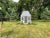French Style Garden Folly Slate Roofed Chalet Folly, 1940 For Sale - Image 4 of 11