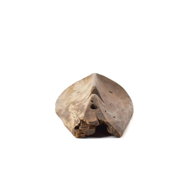 The Lega, also known as Warega, reside along the Lualaba River near Lake Tanganyika in the DRC, governing themselves...