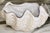 Pottery Barn Under the Sea Clam Chowder Bowl For Sale In Seattle - Image 6 of 16