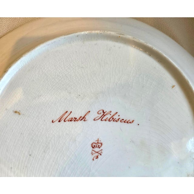 Antique Derby Porcelain Botanical Plate, Marsh Hibiscus, Salmon Ground With Gilt Swans, John Brewer, Circa 1815 For Sale - Image 11 of 12
