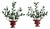 Large Italian Oak Branch Wall Lights, 1950s, Set of 2 For Sale