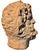 1900 - 1909 Small Terracotta Head of Zeus, 1900 For Sale - Image 5 of 6