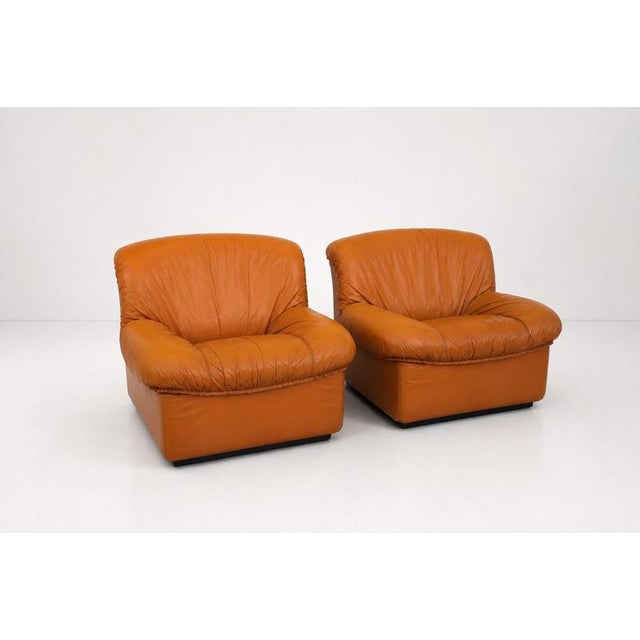 1970s Vintage Italian Giusy Lounge Chairs in Leather from Neoflex, 1970s, Set of 2 For Sale - Image 5 of 12