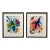 Joan Miro Vintage 1972 Mid Century Modernist Framed " Le Chanteur " and " l'Etoile Bleu " Original Lithograph Prints - Set of 2 For Sale