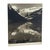 Vintage Black and White Photograph of Lake Louise & Victoria Glacier, Alberta, Canada For Sale - Image 4 of 10