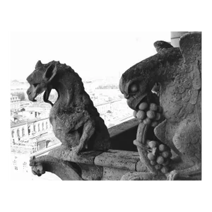 1971 Notre Dame Paris Gryphons Sculpture Photograph by Don Ware