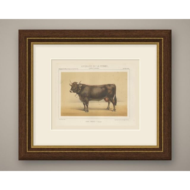 This is an original antique chromolithograph, printed in color from several lithographic stones, from victor borie's...