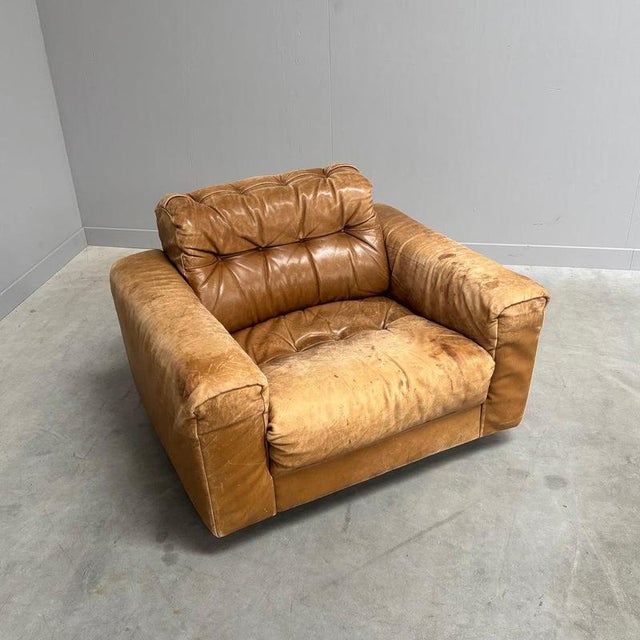 Vintage DS40 Lounge Chair from De Sede, 1970s For Sale - Image 3 of 14