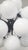 21st Century Ventiquattro Black Powder Coat Glossy White Murano Sputnik Chandelier by Fabio LTD For Sale - Image 6 of 6