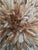 Mid-Century Modern Juju Hat Beige of 27" - 70 Cm For Sale - Image 3 of 6