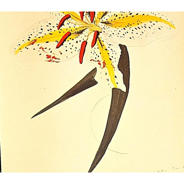 Yellow 1940 Set of 3 Mid-Century French Arlette Davids Botanical Prints- Hyacinths, Lily For Sale - Image 8 of 10