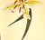 Yellow 1940 Set of 3 Mid-Century French Arlette Davids Botanical Prints- Hyacinths, Lily For Sale - Image 8 of 10