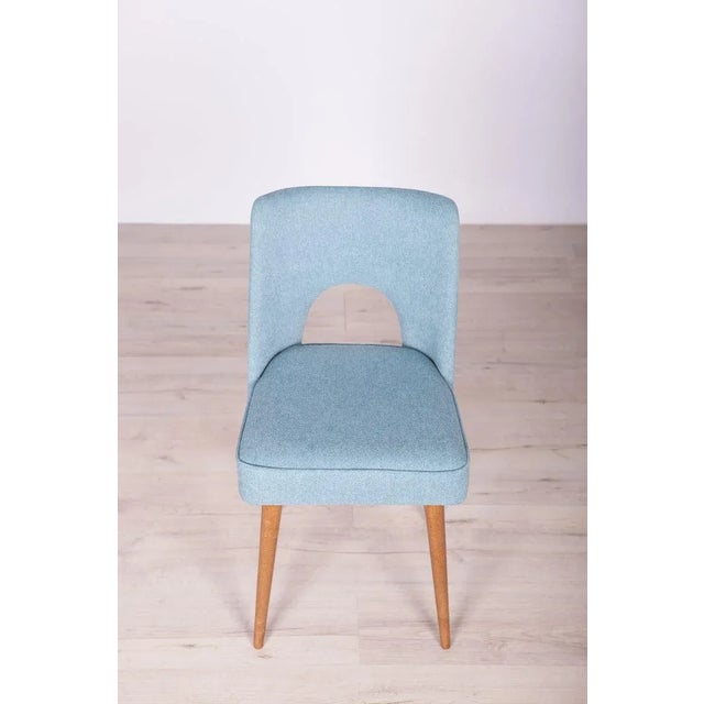 Polish Shell Chairs from Bydgoszcz Furniture Factory, 1960s, Set of 6 For Sale - Image 13 of 17
