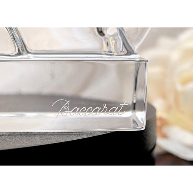 Transparent Baccarat Crystal Gazelles Figurine/Sculpture For Sale - Image 8 of 9
