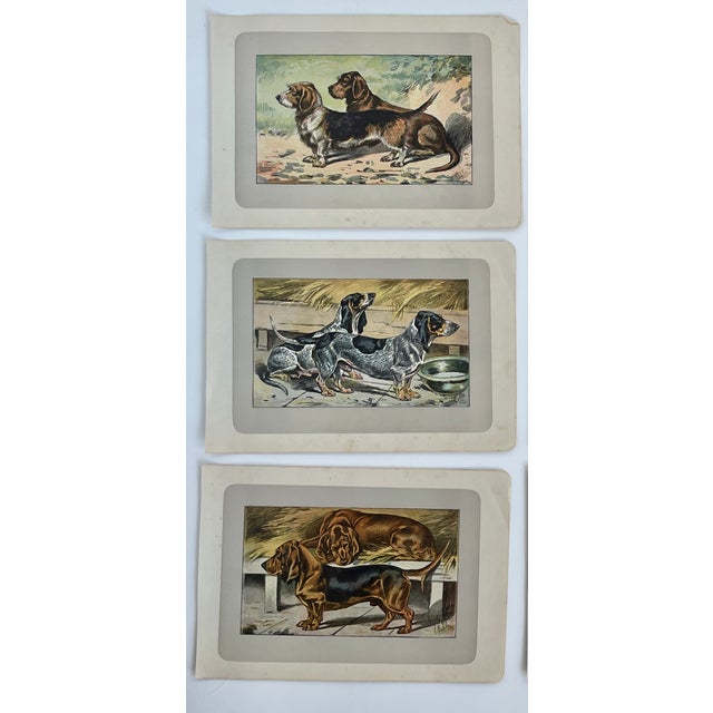 These handsome photogravure-printed pages are illustrated by P. Mahler, a German artist. The subject is dogs. These...