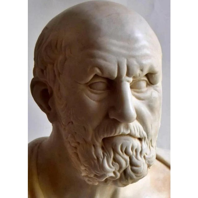 Italian Artist, Hippocrates Bust, Early 20th Century, Carrara Marble For Sale - Image 4 of 7