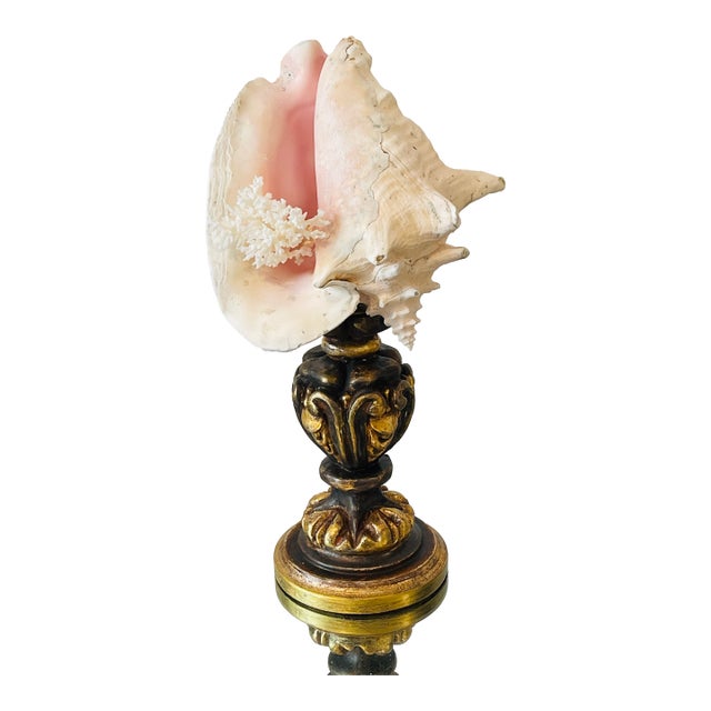 1960s Nature’s Beauty Conch Sra Shell Assemblage on Italian Gilded Wood Pricket For Sale