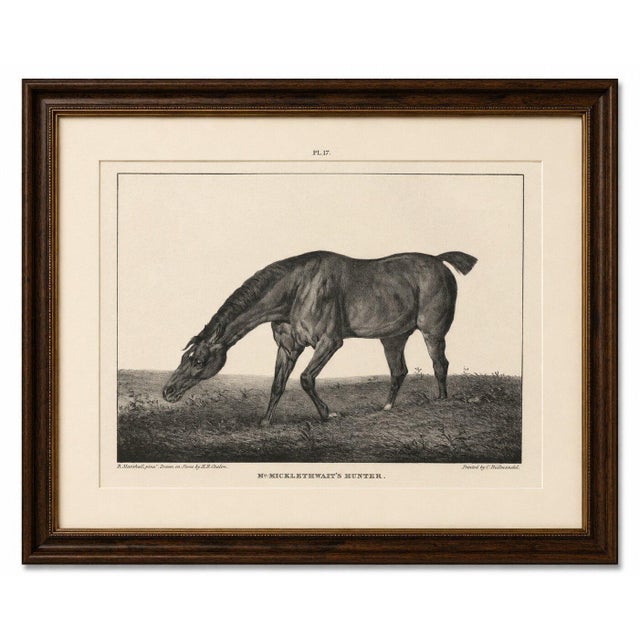 After Chalon, Equestrian Illustrations, Lithographs, 1840, Set of 4 For Sale - Image 6 of 12