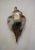 Taxidermy Pheasant Bird Drinking From Crown Royal Bottle. This novelty item would be great for any library, in-home...