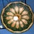 Antique Arts & Crafts j.a. Whaley & Co. Rare Mixed Slag & Stained Glass 12-Sided Swag Pendant Chandelier Lamp For Sale - Image 12 of 12