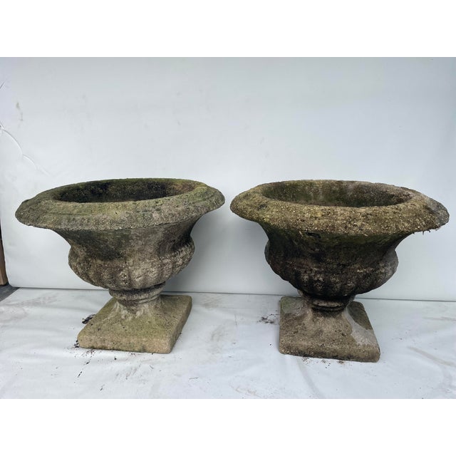 1950s Vintage Concrete Garden Pots - Set of 2 For Sale - Image 4 of 10