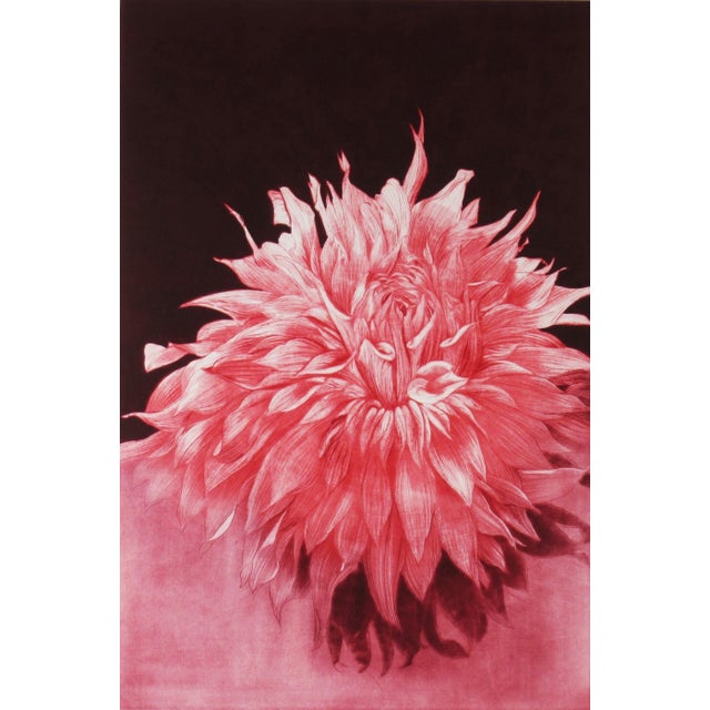 This artwork titled "Sunrise Dahlia" c.1990 is an original colors mezzotint by noted German/American artist Gatja Helgart...