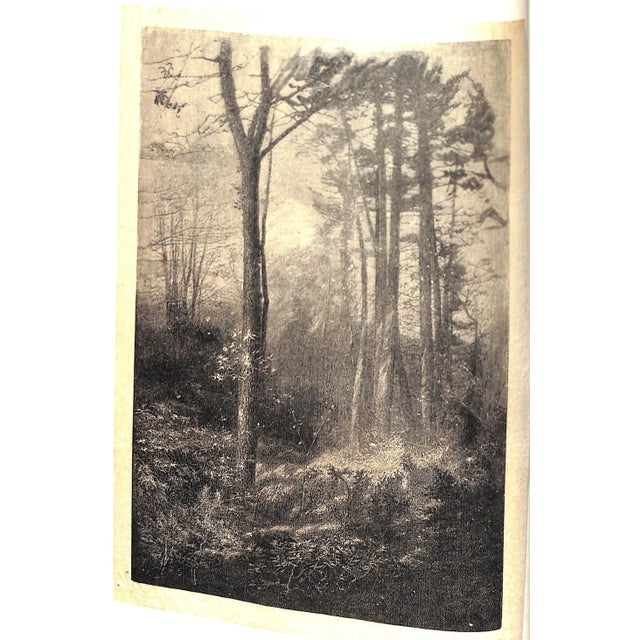 "Sport With Gun and Rod in American Woods and Waters" 1883 Mayer, Alfred M. For Sale - Image 12 of 13