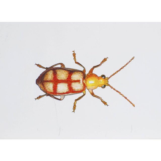 Juris Utans, Yellow-Red Beetle Cousin, 2021, Mixed Media and Paper For Sale - Image 3 of 3