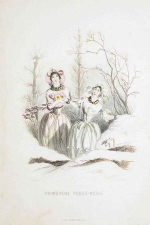 J. J. Grandville, Primrose Snowdrop, The Flowers\., 1847, Lithograph