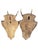 1930s 1930s Pair of Roe Deer Trophies 137, Black Forest Antlers For Sale - Image 5 of 6