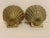 Metal Pair Brass Seashell Scallop Bookends For Sale - Image 7 of 7
