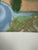 David Hockney, Autumn Trees Near Thixendale, 2008, Paper For Sale - Image 4 of 13