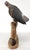 American Harrier Hawk & Gloved Handler 2003 – Carved Wooden Sculpture Signed Bradford King For Sale - Image 4 of 16