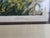 Framed Artist Proof 1988 "Shaded Path" Signed: Harold Altman For Sale - Image 4 of 4
