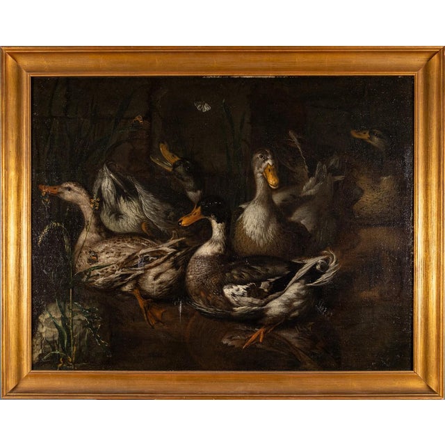 School of Monsù Aurora, Still Life with Ducks, 19th Century, Oil on Canvas For Sale - Image 5 of 5
