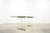 Transparent 1970s Attributed to Leon Rosen Glass Dining Table For Sale - Image 8 of 18