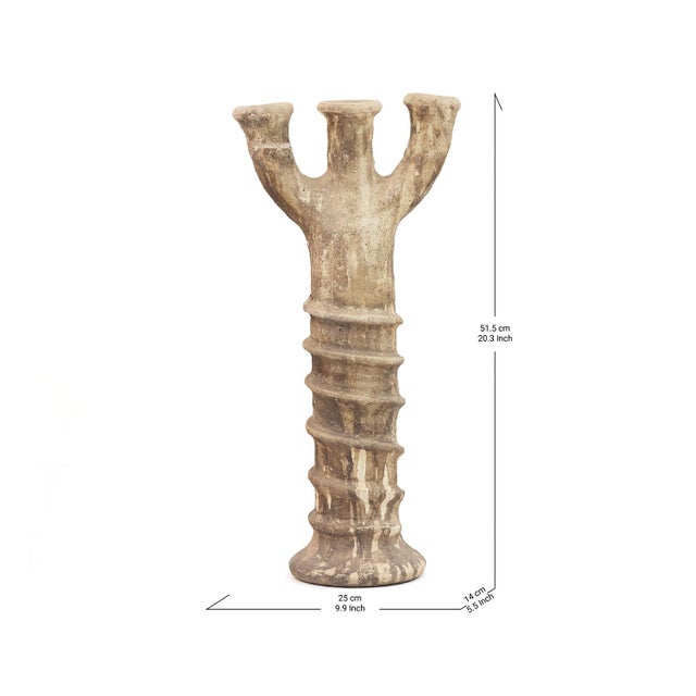 A slender, ridged trunk rises tall before splitting into three open branches, this Tamegroute piece taking the graceful...