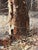 Late 20th Century Original Oil Winter Landscape, Vintage For Sale - Image 4 of 12