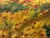 Blue Jennifer Vranes “Heart of Chianti” Three Panel Landscape Original Painting For Sale - Image 8 of 12