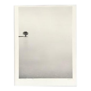 Black & White Signed Print "Tree & Ducks Japan" For Sale