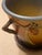 This beautiful Roseville Double Handled Pine Cone Flower Pot with Matching Saucer - presented in a stunning textured matte...