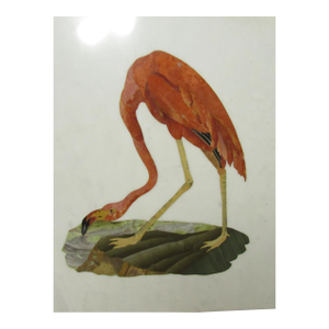 Italian Marble Pietra Dura Flamingo Tile