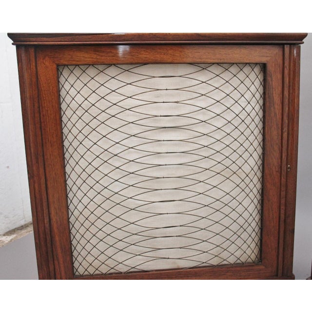 Early 19th Century Rosewood Cabinets, 1830, Set of 2 For Sale - Image 12 of 13