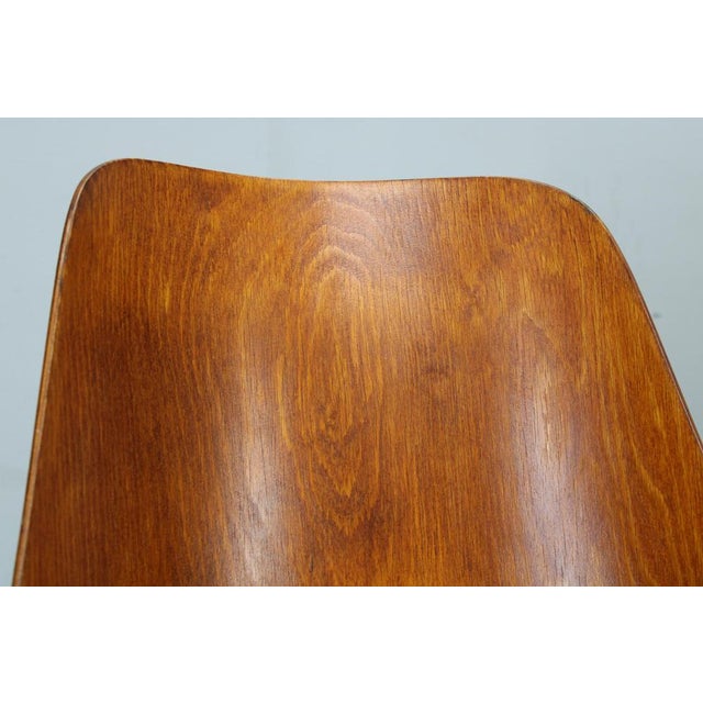 Mid-Century Model Ton 514 Dining Chairs attributed to Osvald Haerdtl for Ton, 1960s, Set of 4 For Sale - Image 11 of 16