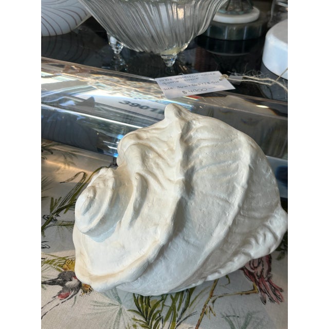 Pair Plaster Palm Beach Shell Seashell Wall Light Sconces Serge Roche Manner For Sale - Image 12 of 12