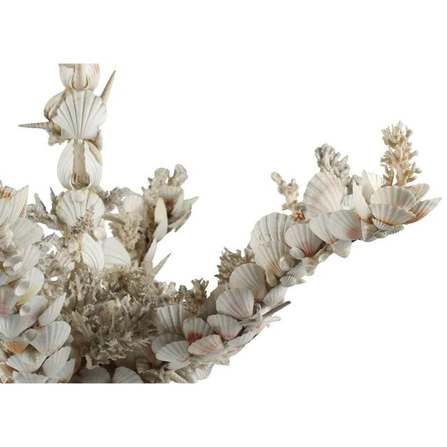 Vintage Italian "Grotto" Chandelier Encrusted With Sea Shells and Coral For Sale - Image 4 of 5