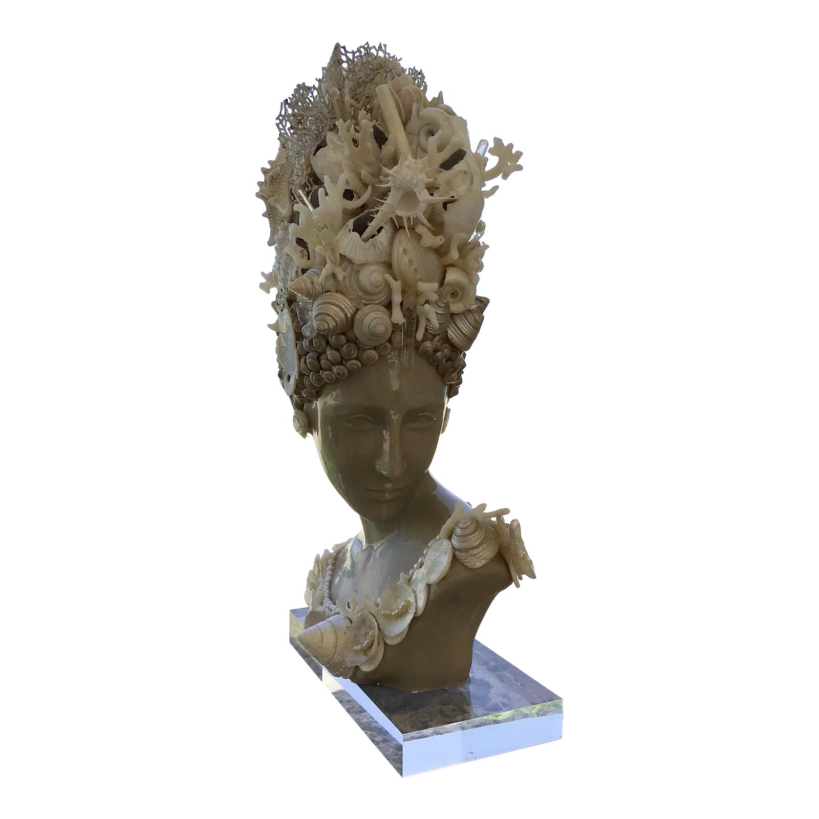 Venus Goddess of the Sea With Natural Shells White | Chairish
