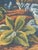 Vintage French Verdure Jacquard Tapestry in the style of Aubusson, 1970s For Sale - Image 10 of 18