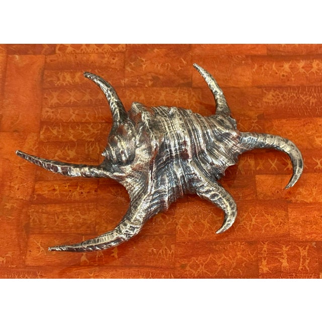 Large Ruzzetti and Gow silvered shell. Made in Italy. From the shop in NYC.