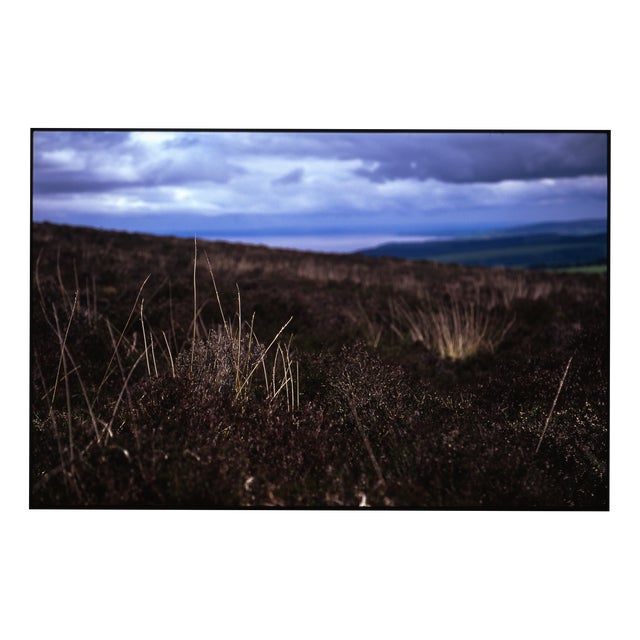 Paul Cooklin, Heathland, Exmoor, 2011, Edition of 50 For Sale